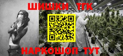 прущие грибы Гатчина