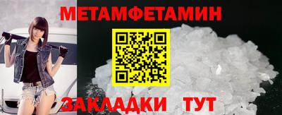 прущие грибы Гатчина