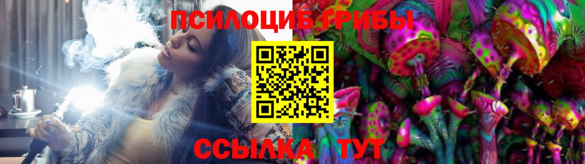 Галлюциногенные грибы Psilocybe  где продают наркотики  Вход с VPN  Новосибирск  Галлюциногенные грибы Cubensis 