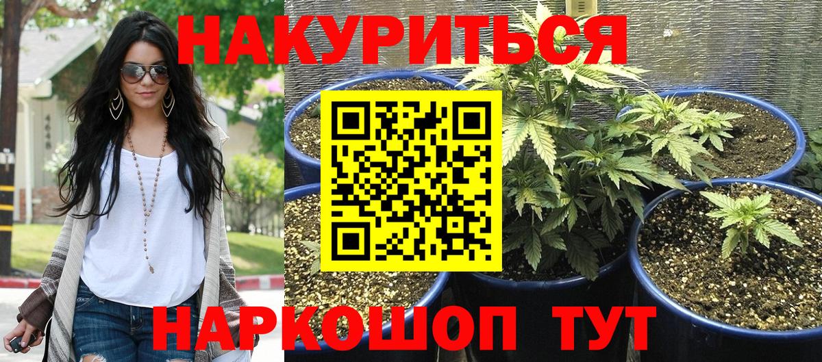 Марихуана Amnesia  Бошки Шишки тримм  Новосибирск  Канабис конопля  Вход с VPN 